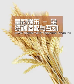 皇冠娱乐 - 全终端适配与互动娱乐整合平台 | Huangguan Sport
